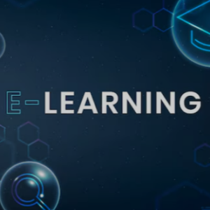 SEI E-Learning Organization
