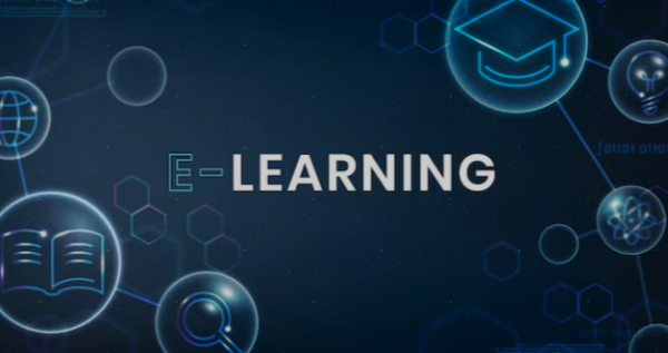 SEI E-Learning Organization